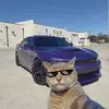 sharibriggs2 - @sharibriggs2 - TikTok
