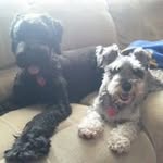 Shari Bryant Fortner - @sharifortner - Instagram