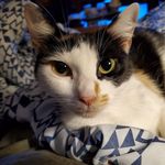 Shari Callahan - @shari.callahan.3 - Instagram