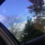 Shari Capaldi - @shari_555 - Instagram