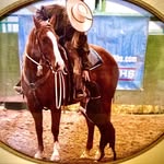 Shari Cook - @shari.cook.585 - Instagram