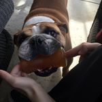 Sheri Cross - @sheri.cross - Instagram