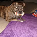 Sheri Crum - @crumsheri - Instagram