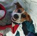 Shari Dixon - Facebook