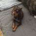 Shari Evans - Facebook