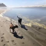 Shari Freeman - @sharifreeman12 - Instagram