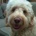 Sherry Greenstein Pasternack - Facebook