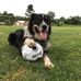 Sharon Gustafson - Facebook