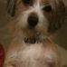 Shari Haley - Facebook