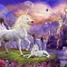 Shari Haley - Facebook
