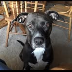 Shari Hazel - Facebook
