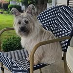 Shari Howe Wingate - @shariwingate - Instagram
