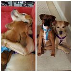 Shari Huffman - @shari.brgsc - Instagram