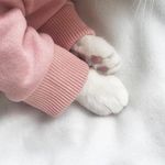 Shari Huffman - @littleredpikmin - Instagram