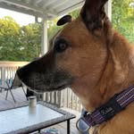 Shari Brownstein Ether Hurst - @sharihurst - Instagram