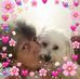 Sheri Hurst - Facebook
