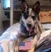 Shari Leonard - Facebook