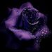 Shari Love - Facebook