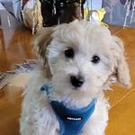 Shari Mann - @sharimann3 - Instagram