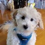 Shari Mann - Facebook