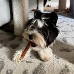 Sheri Marcus - @sherimarcusencaustic - Instagram