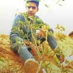 sharimayo - @sharimayo85 - Instagram