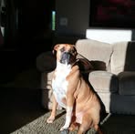 Shari McDaniel - Facebook