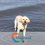 Shari McDowell - @shari.mcdowell.3 - Instagram