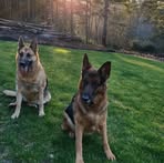 Shari Mead - Facebook