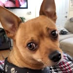 Sheri Mead - @mokrina_rn - Instagram