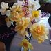 Shari Mills - Facebook