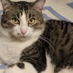 Shari Mueller - @s.mueller1939 - Instagram