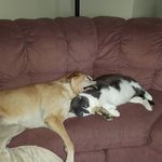 Shari Murphy - @shari.murphy.790 - Instagram
