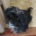 Shari Owen - Facebook