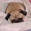 shariowen767 - @shariowen767 - TikTok