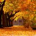 Shari Page - Facebook