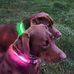 Sheri L Page - Facebook