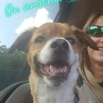 Shari Petersen - @boozeman1967 - Instagram
