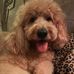 Shari Rogers - Facebook