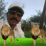 Shari Singh - @sher_singh671 - Instagram