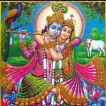 Shari Singh Rajpoot - @sherusinghrajpoot44 - Instagram