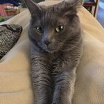 Shari Snyder Bridger - @shari.bridger - Instagram