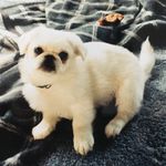 Sharon Sprague - @sharonsprague3 - Instagram