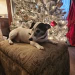 Sharon Sprague - @sharonsprague56 - Instagram