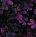 Sherry Sprague - Facebook