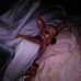 Shari Stanford - Facebook