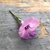 Shari Stephens401 - @stephens618 - TikTok