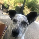 Shari Stephens Borglin - @sborglin - Instagram