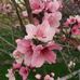 Sharon Sumner - Facebook