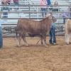Tyson-ShariThomas76 - @tyson_shari_t76 - TikTok
